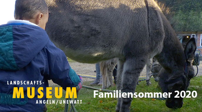 Familiensommer: Müllers Esel