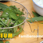Familiensommer: Wildkräuter - einfach lecker