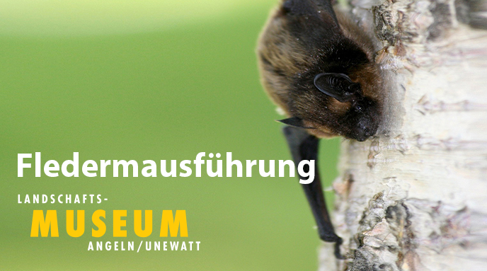Fledermaus-Führung ZUSATZTERMIN