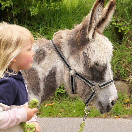 Familiensommer