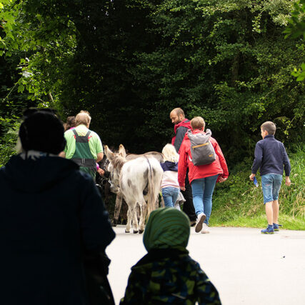 Familiensommer