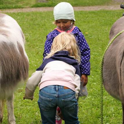Familiensommer