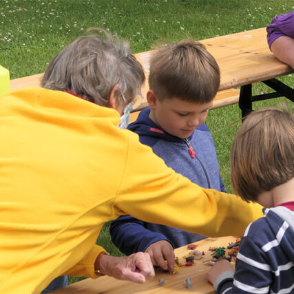 Familiensommer