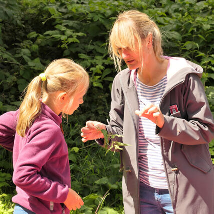 Familiensommer