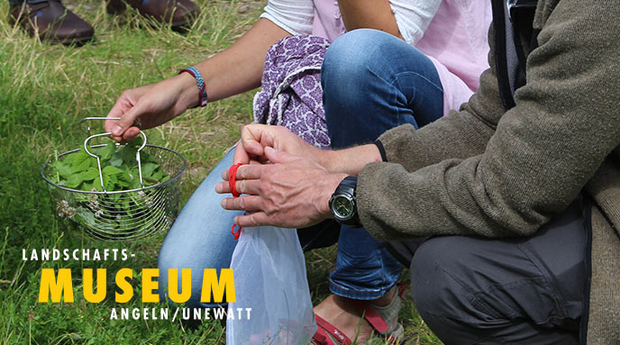 Exkursion ins Naheliegende - eine Wildkräuter-Wanderung